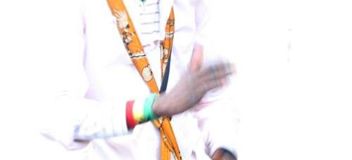 konzert-2010-07-29-3