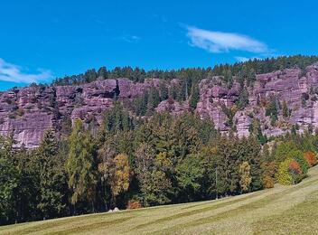 reich-und-beruehmt-05
