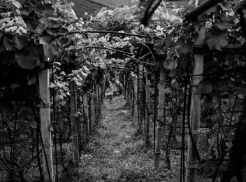 img-5864-2